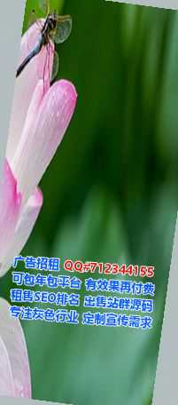 坪山卵妹汽车服务门市部